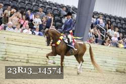 23R13_14574 thumbnail