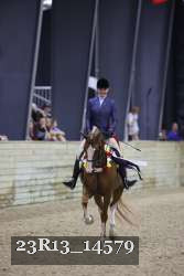23R13_14579 thumbnail