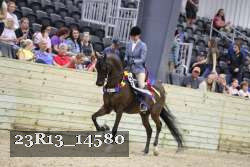 23R13_14580 thumbnail