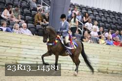 23R13_14581 thumbnail
