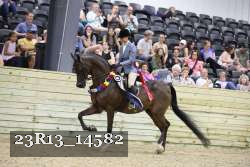 23R13_14582 thumbnail