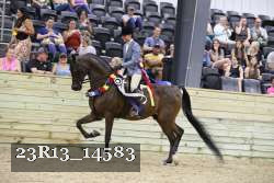 23R13_14583 thumbnail