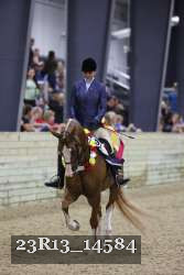 23R13_14584 thumbnail