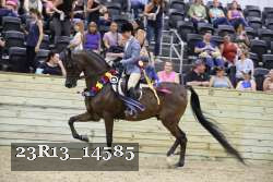 23R13_14585 thumbnail