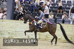 23R13_14586 thumbnail