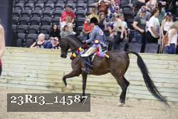23R13_14587 thumbnail