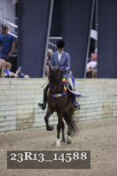 23R13_14588 thumbnail