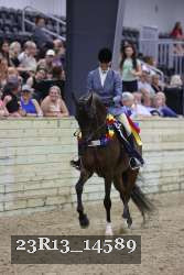 23R13_14589 thumbnail