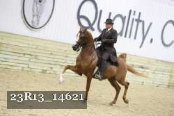 23R13_14621 thumbnail