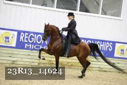 23R13_14624 thumbnail