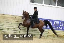 23R13_14628 thumbnail
