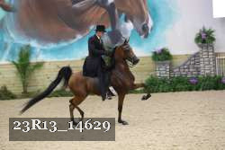 23R13_14629 thumbnail