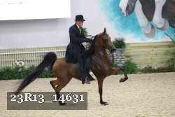 23R13_14631 thumbnail