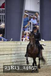 23R13_14657 thumbnail