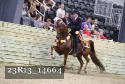 23R13_14664 thumbnail