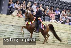23R13_14666 thumbnail
