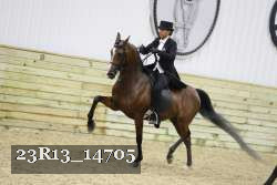 23R13_14705 thumbnail