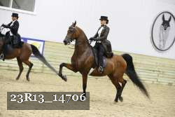 23R13_14706 thumbnail