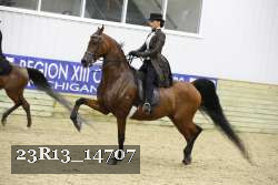 23R13_14707 thumbnail