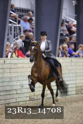 23R13_14708 thumbnail