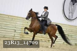 23R13_14709 thumbnail