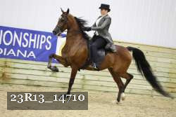23R13_14710 thumbnail