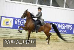 23R13_14711 thumbnail