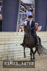23R13_14712 thumbnail