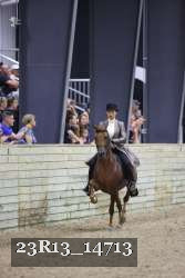 23R13_14713 thumbnail