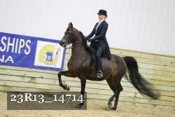 23R13_14714 thumbnail