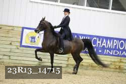 23R13_14715 thumbnail