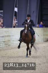 23R13_14716 thumbnail