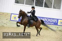 23R13_14717 thumbnail