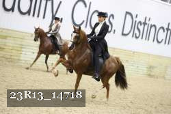 23R13_14718 thumbnail