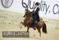 23R13_14719 thumbnail