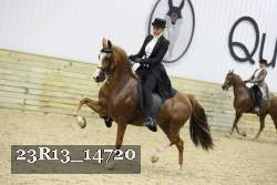 23R13_14720 thumbnail