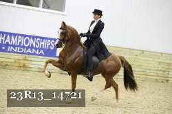 23R13_14721 thumbnail