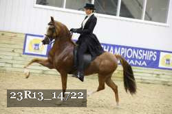 23R13_14722 thumbnail