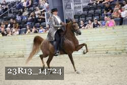 23R13_14724 thumbnail