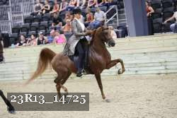 23R13_14725 thumbnail