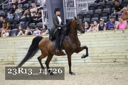 23R13_14726 thumbnail
