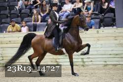 23R13_14727 thumbnail