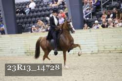 23R13_14728 thumbnail