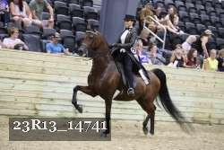 23R13_14741 thumbnail