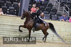23R13_14748 thumbnail