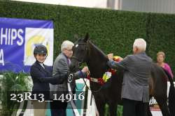 23R13_14916 thumbnail