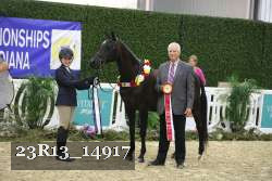 23R13_14917 thumbnail
