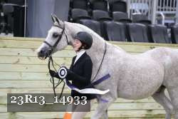 23R13_14933 thumbnail