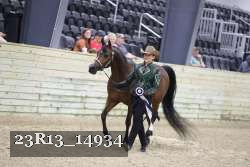 23R13_14934 thumbnail