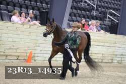 23R13_14935 thumbnail